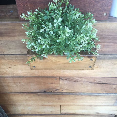 Double Mac - Accommodation Yamba 0