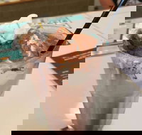 Coffee Mentality - Albion - Accommodation Yamba