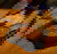 Hell of the North - Accommodation Yamba