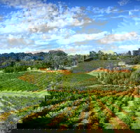 Kellybrook Winery and Kelly Brothers Cider - Accommodation Yamba