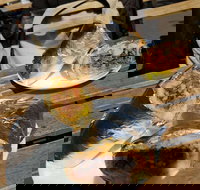 Perso - Accommodation Yamba