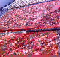 Pizza and Kebab on Bell - Accommodation Yamba