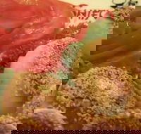 Shifu Dumpling Express - Accommodation Yamba