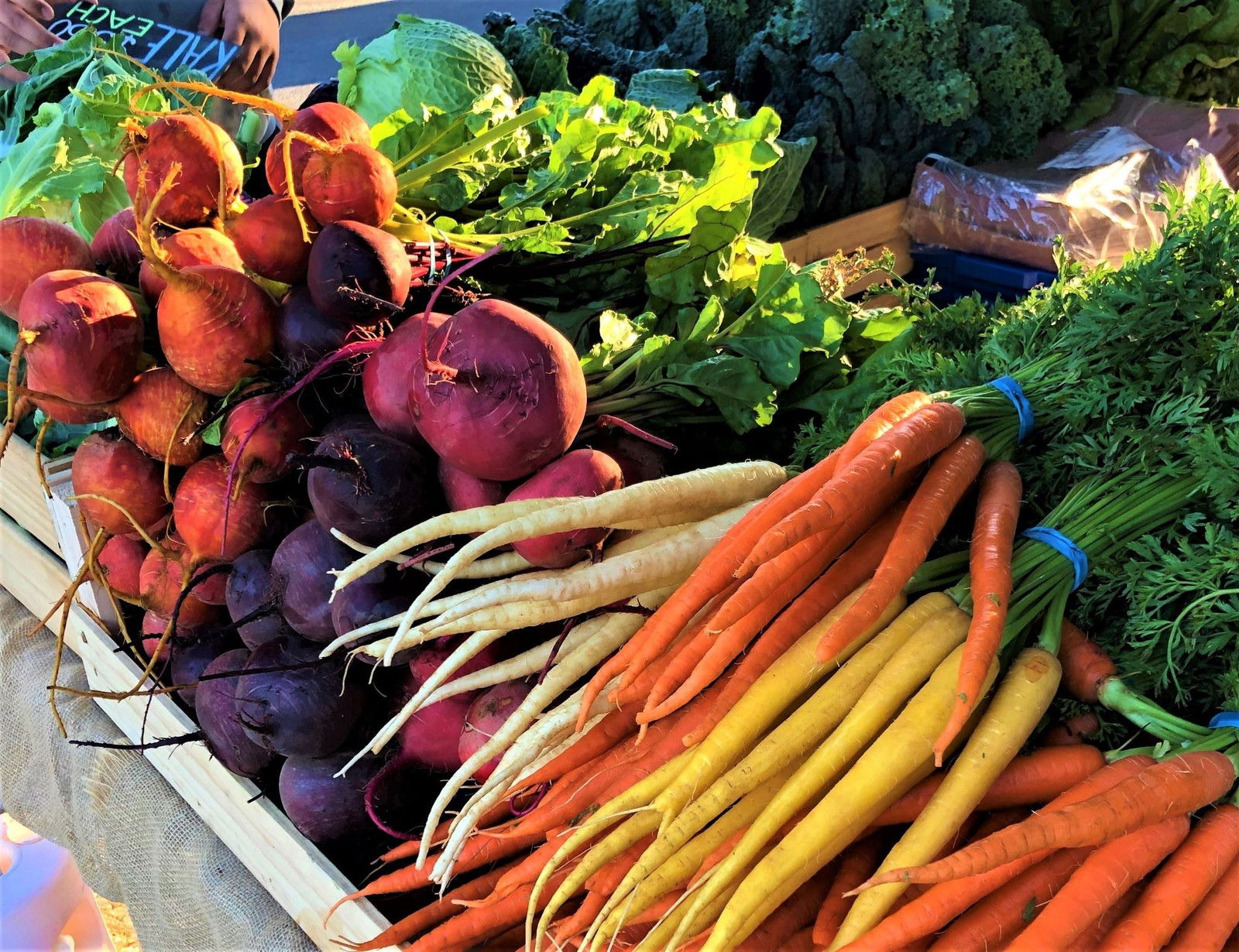 Towitta SA Accommodation Yamba