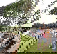 Darwin Ski Club - Accommodation Yamba