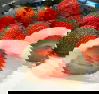 Lucky Dumpling - Accommodation Yamba