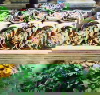 Salud Expresso Bar - Accommodation Yamba