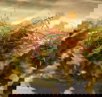 St. Hotel - Accommodation Yamba