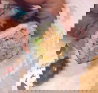 East Brunswick Hotel - Accommodation Yamba