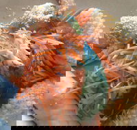 On Shore - Accommodation Yamba