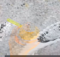 Spice Cottage - Accommodation Yamba