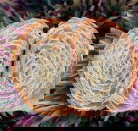 La Bouche - Accommodation Yamba