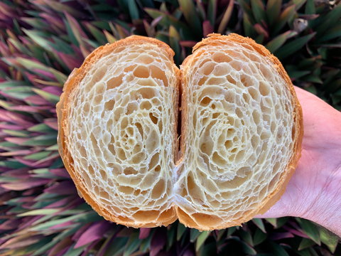 La Bouche - Accommodation Yamba 0