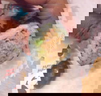 La Porchetta Colac - Colac - Accommodation Yamba