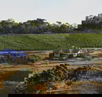 Spence Wines - Accommodation Yamba