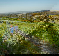 Wills Domain - Accommodation Yamba