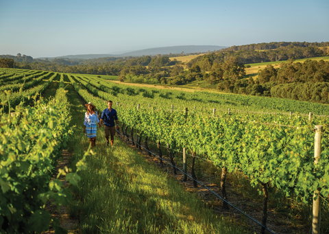 Wills Domain - Accommodation Yamba 0