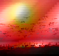 Good Thanks - Accommodation Yamba