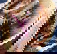 Haci's Kebabs Food Truck - Accommodation Yamba