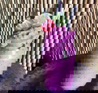 Jungle - Accommodation Yamba