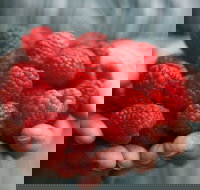 Christmas Hills Raspberry Farm Cafe - Accommodation Yamba