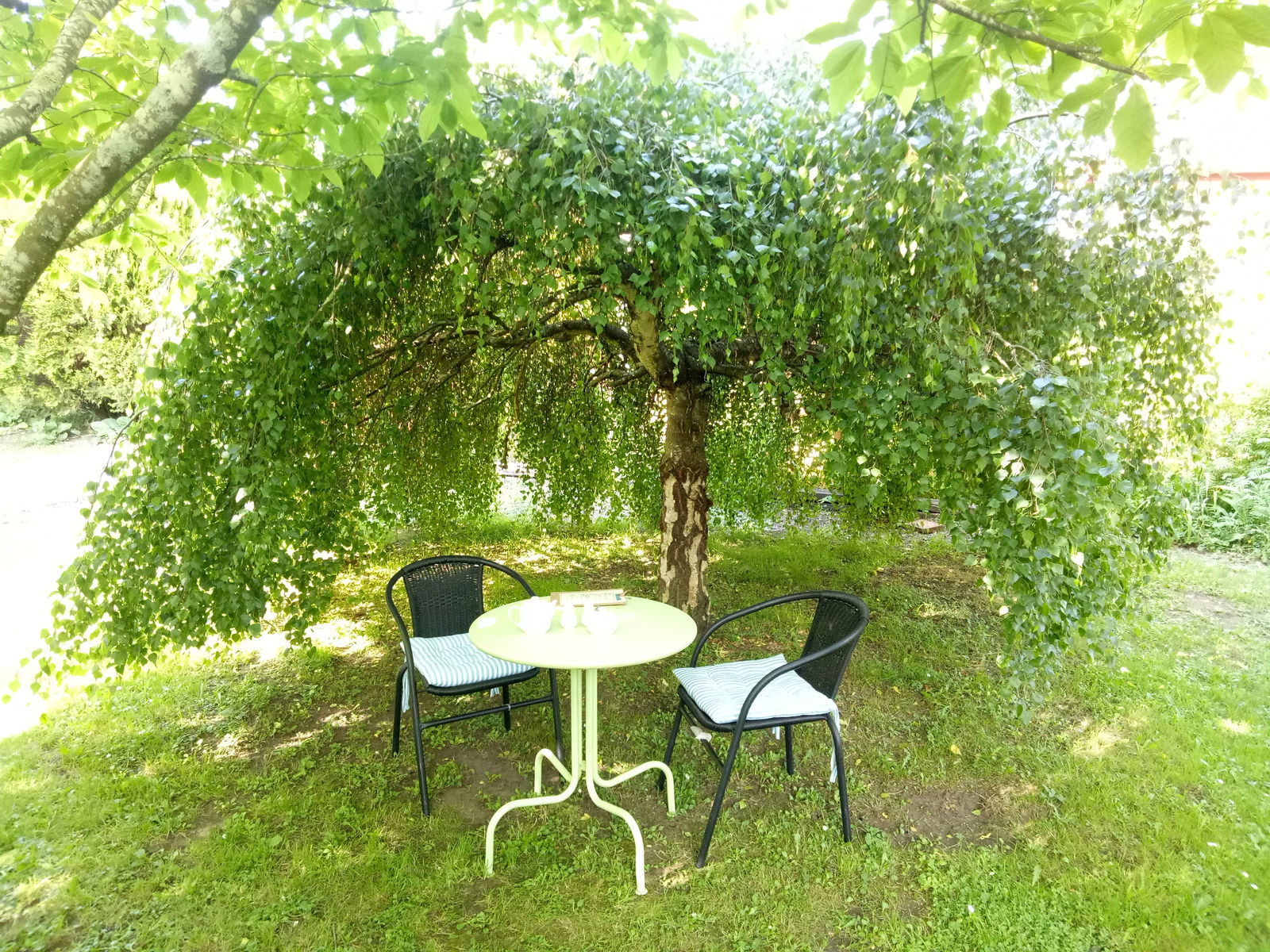 Mole Creek TAS Accommodation Yamba