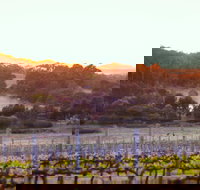 Howling Wolves Wines - Accommodation Yamba