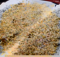 Man-O-Salwa - Clayton - Accommodation Yamba