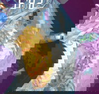 Sharks Tail Fish  Chippery - Accommodation Yamba