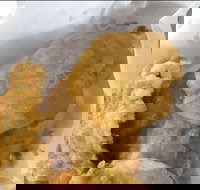 Captain Roxburg Fish  Chips - Accommodation Yamba