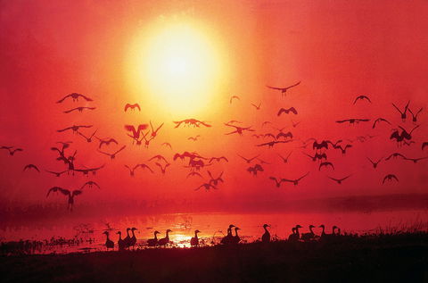 Cool Spot Cafe - Fannie Bay - Accommodation Yamba 0