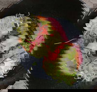 Crowded House - Accommodation Yamba