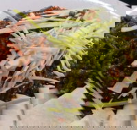 DuoTone - Accommodation Yamba