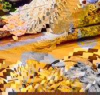 Little Bad Wolf - Accommodation Yamba