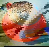 Routleys Bakery - Accommodation Yamba