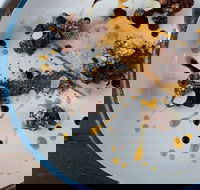 The Kettle  Tin - Accommodation Yamba