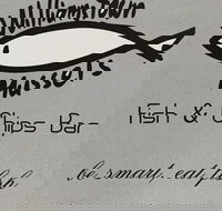 Williamstown Mussels - Accommodation Yamba