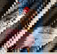 Van Diemens Land Creamery - Accommodation Yamba