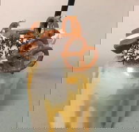 Where Ya Bean - Accommodation Yamba