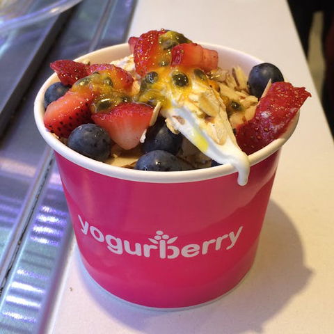 Yogurberry - Hornsby - Accommodation Yamba 0