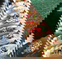 Balter Brewing Company - Accommodation Yamba