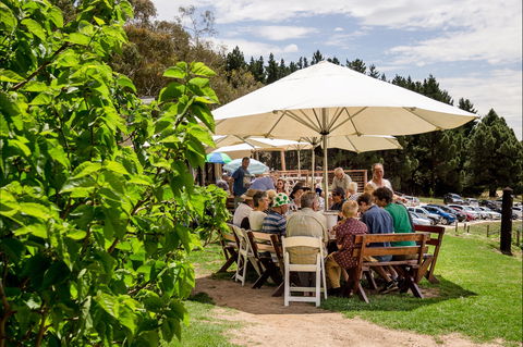Anderson Hill Cellar Door - Accommodation Yamba 2