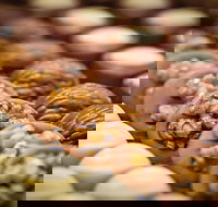 Koko Black - Maribyrnong - Accommodation Yamba