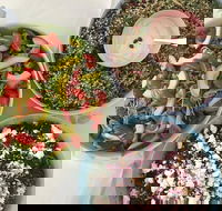 Abbotsford Zest Chargrill Chicken - Accommodation Yamba