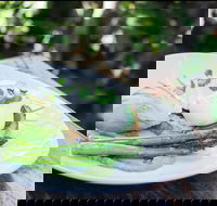 Cafe Bema - Accommodation Yamba