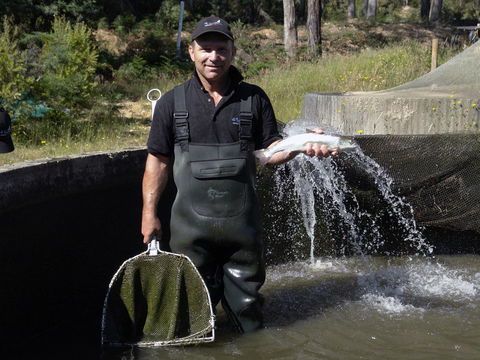41 Degrees South Tasmania - Accommodation Yamba 0
