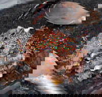 Cold Rock Ice Creamery - Surfers Paradise - Accommodation Yamba