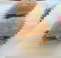 Taylor's Seafood - Accommodation Yamba