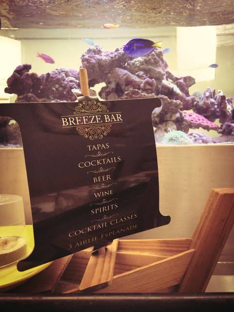 Breeze Bar - Accommodation Yamba 3