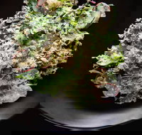 Arthur Waterhouse Lounge - Accommodation Yamba